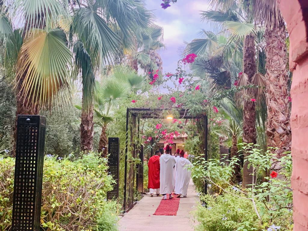 1e0ee5bb-0c5a-40de-ada5-6ded14fb498f