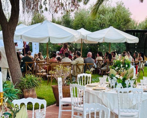 8d4c2e4d-e416-4357-93a2-481a07acb0ad