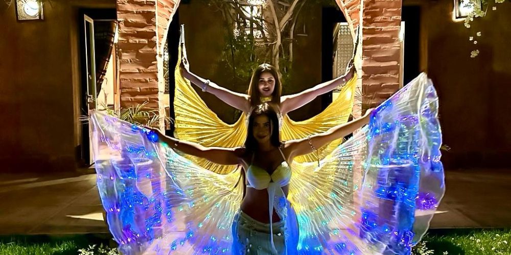 WhatsApp Image 2026-02-16 at 15.15.53