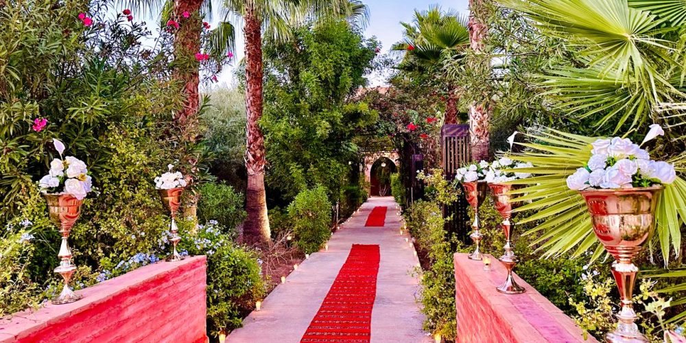 WhatsApp Image 2026-02-16 at 15.21.44