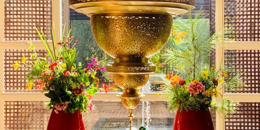 WhatsApp Image 2026-02-16 at 15.26.31