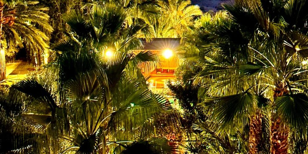 WhatsApp Image 2026-02-16 at 15.26.47