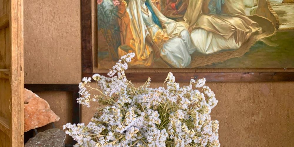 WhatsApp Image 2026-02-16 at 15.41.40