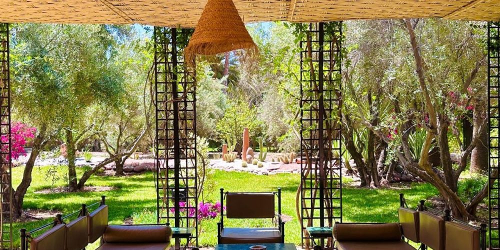 WhatsApp Image 2026-02-16 at 15.51.17