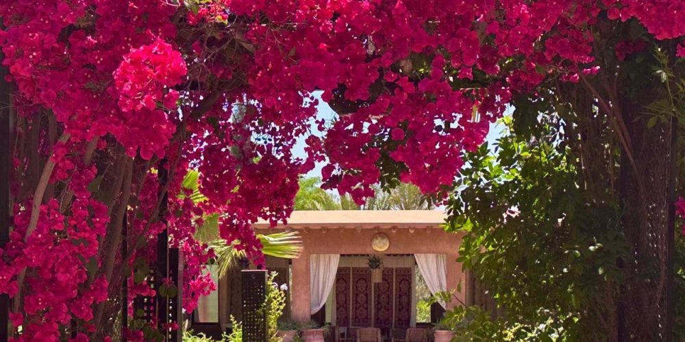 WhatsApp Image 2026-02-16 at 15.51.44