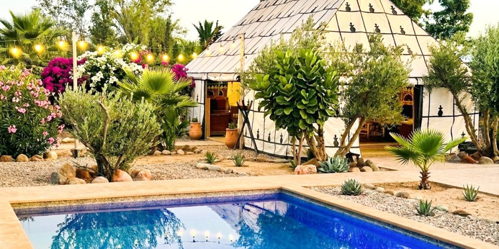 WhatsApp Image 2026-04-13 at 12.02.41 (1)