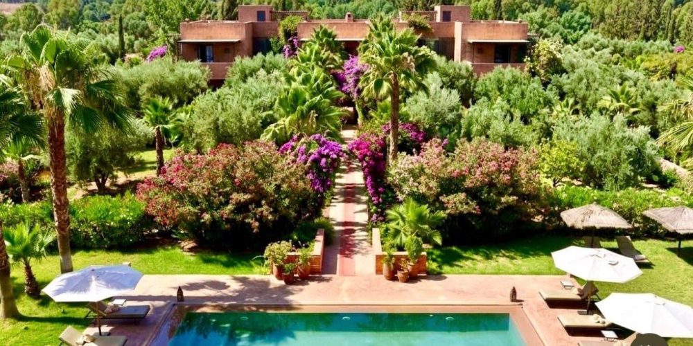 WhatsApp Image 2026-04-13 at 15.26.41