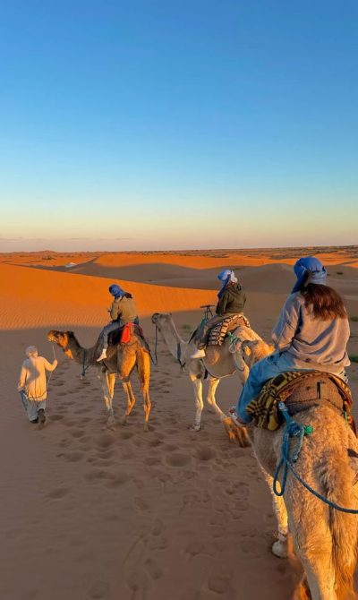 d608f842987a2d7c24f1898484d07a73